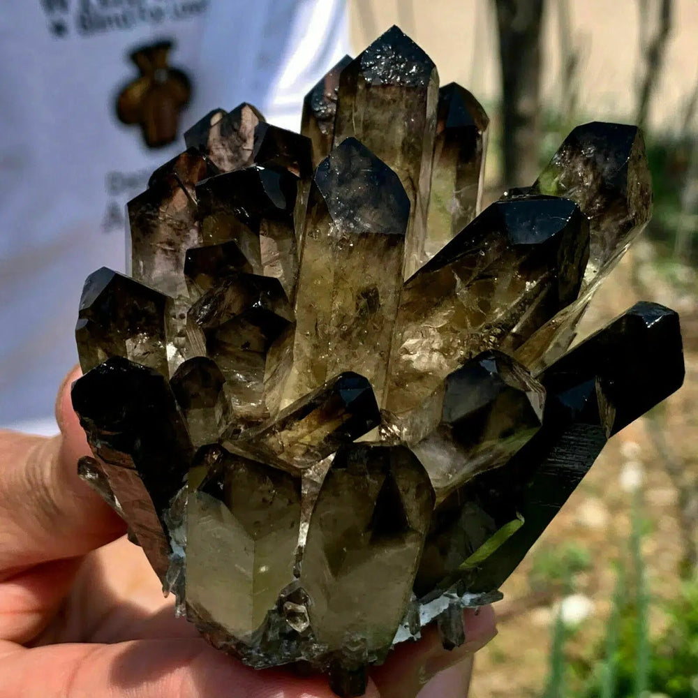 Black Phantom Quartz Crystal Cluster