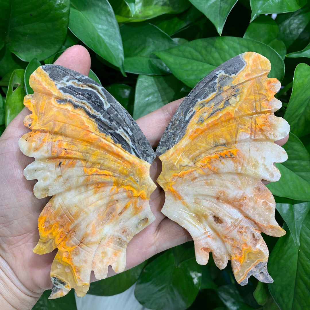 Bumblebee Jasper Carved Butterfly Wings
