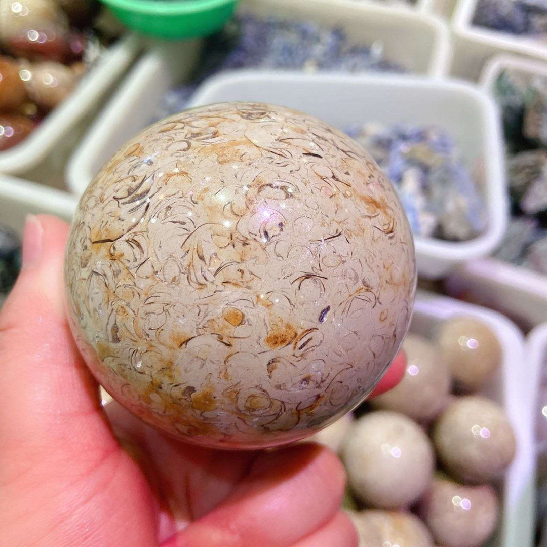 Dinosaur Bone Fossil Crystal Sphere