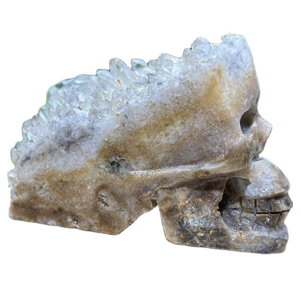 Natural Cranium Quartz Crystal Cluster Skull