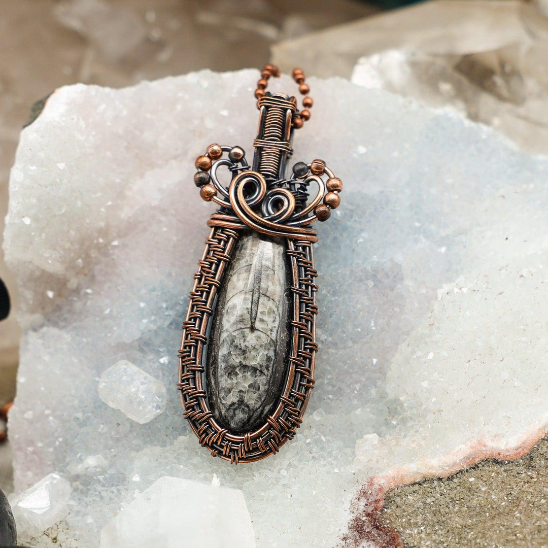 Orthoceras Fossil Wire Wrap Pendant - 3.00"