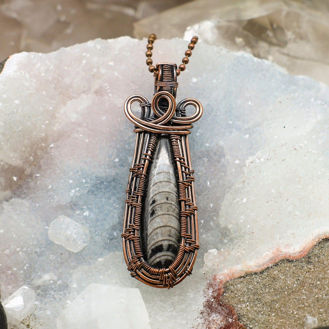 Orthoceras Fossil Wire Wrap Pendant - 3"