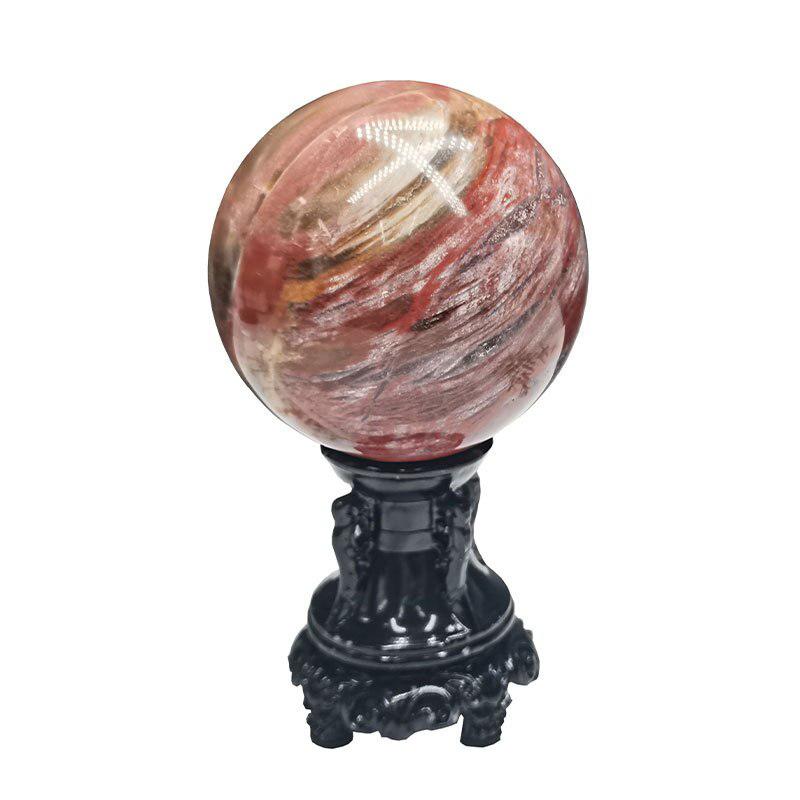 Petrified Wood Sphere Fossil
