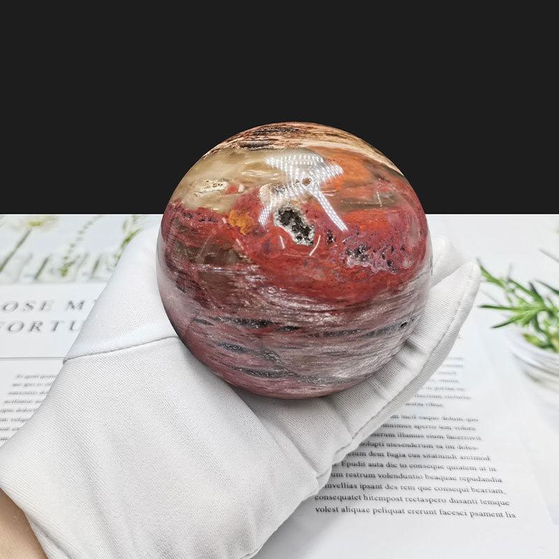 Petrified Wood Sphere Fossil