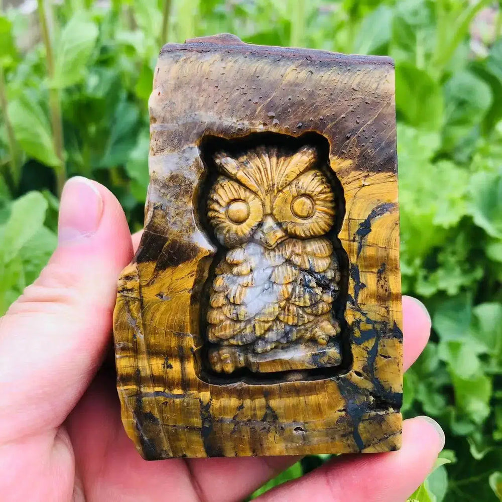 Carved Yellow Tiger Eye Owl Slice