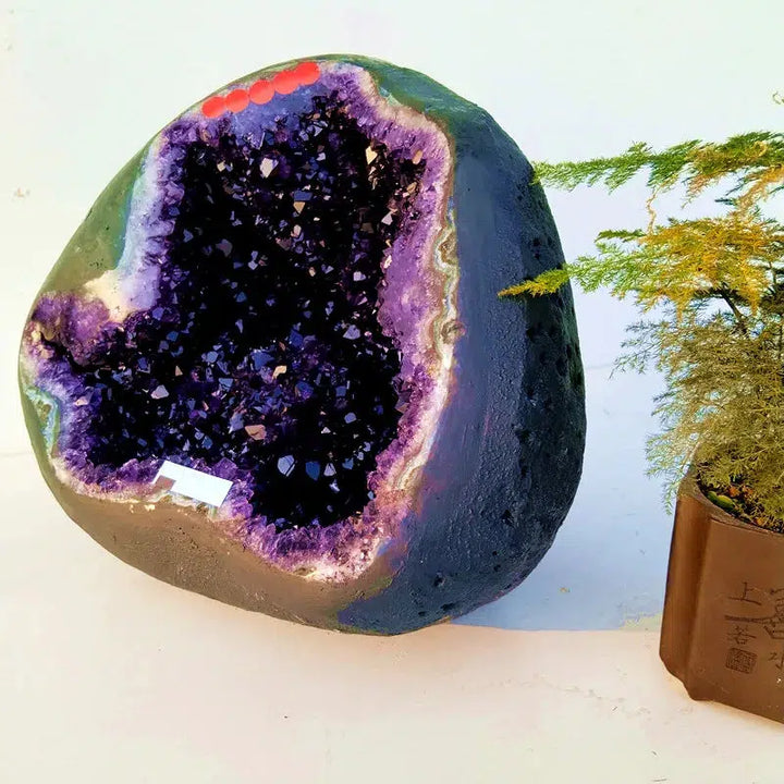 33lbs Uruguayan Amethyst ‘Grape Jam’ Geode