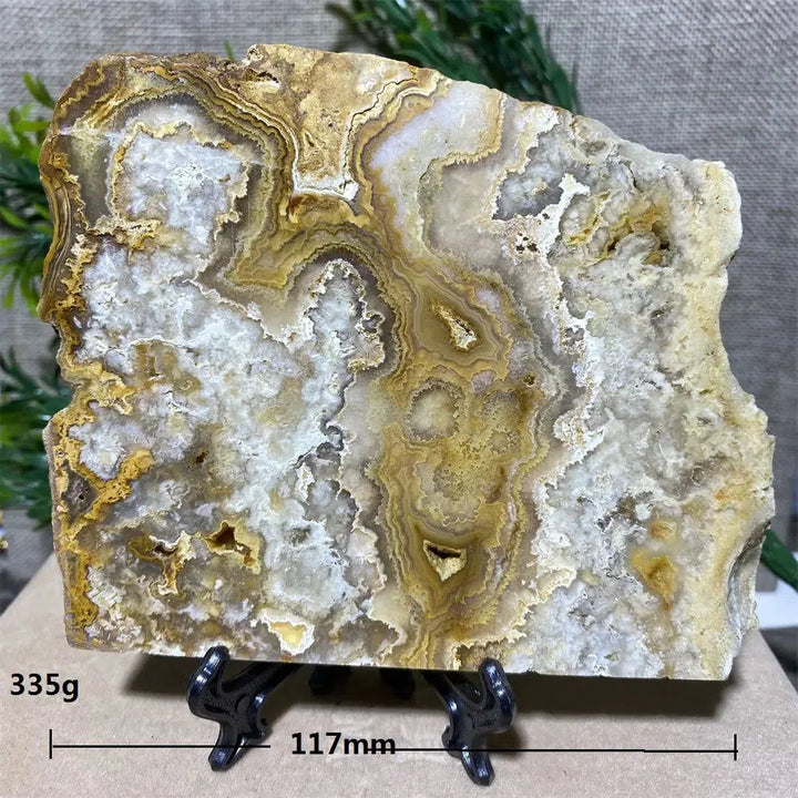 Crazy Lace Agate Slab + Stand
