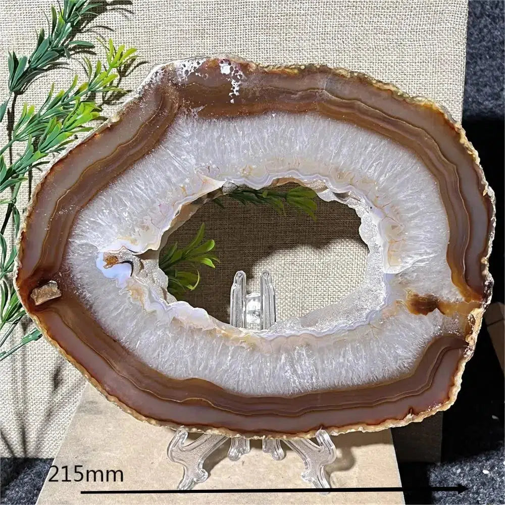 Huge Carnelian Agate Geode Slice