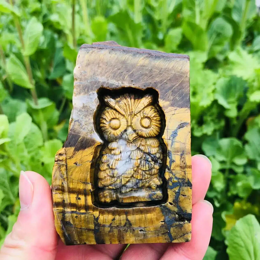 Carved Yellow Tiger Eye Owl Slice