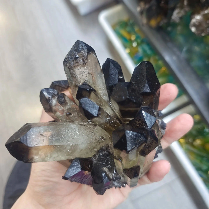 Black Smokey Quartz Crystal Cluster
