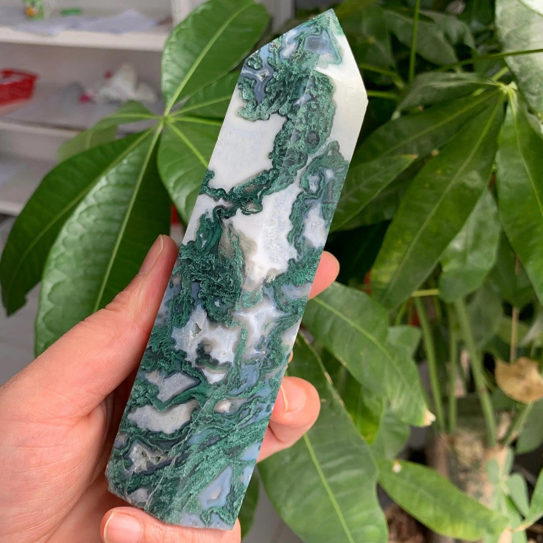Moss Agate crystal with green inclusions for growth and abundance