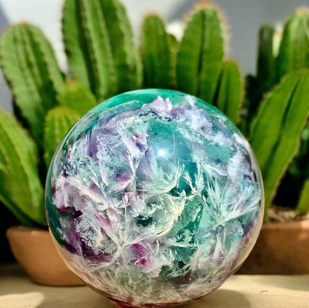 The allure of crystals showing why people collect them