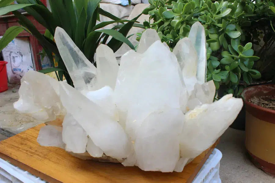 122LB Huge Natural Quartz Cluster