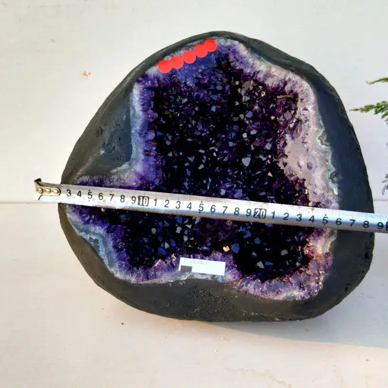 33lbs Uruguayan Amethyst ‘Grape Jam’ Geode