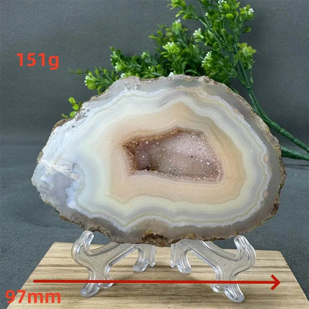 Agate Geode Slice