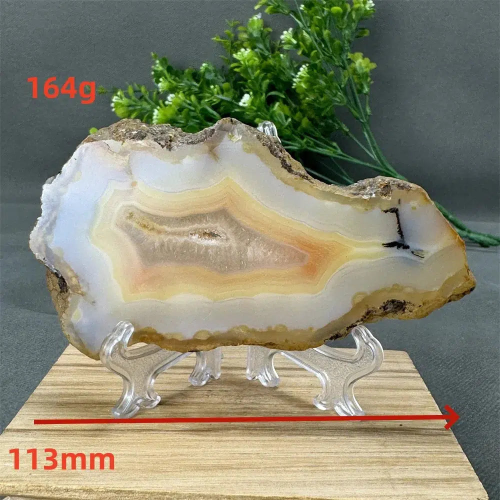 Agate Geode Slice