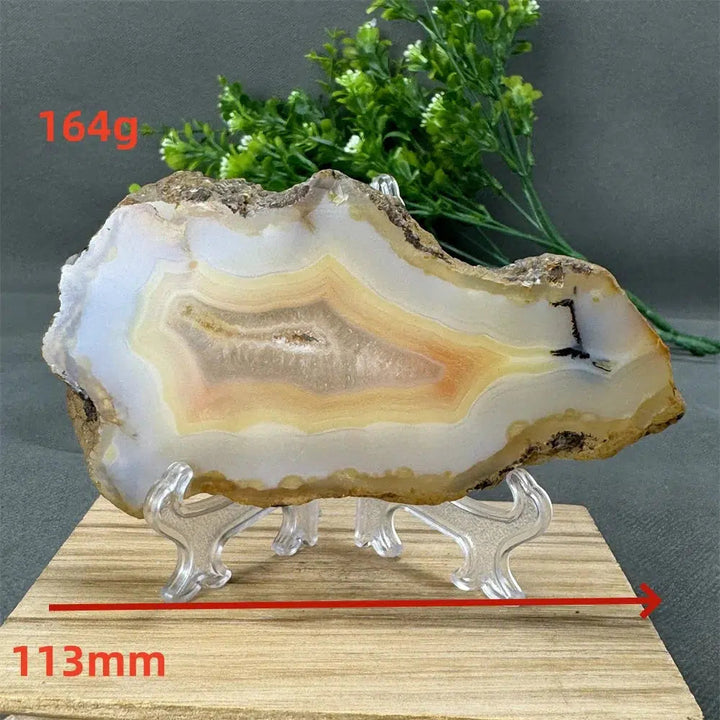 Agate Geode Slice