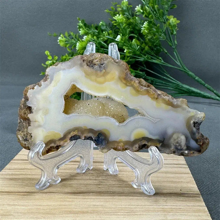 Agate Geode Slice