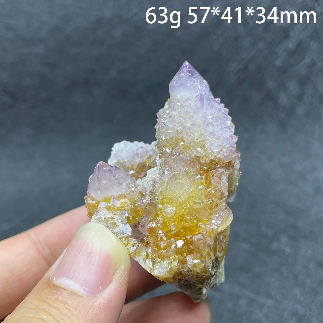 Amethyst Cactus Quartz Crystal Cluster