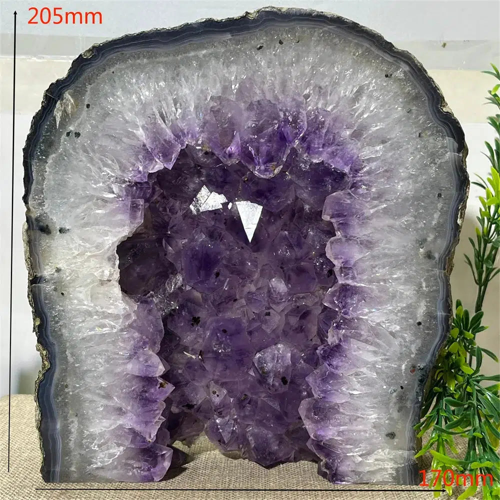 Amethyst Cluster Slice