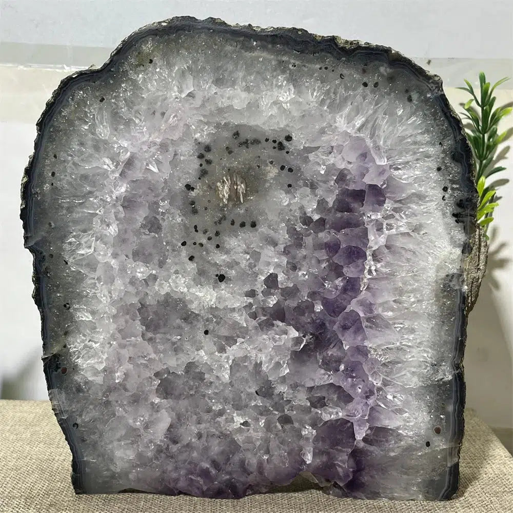 Amethyst Cluster Slice