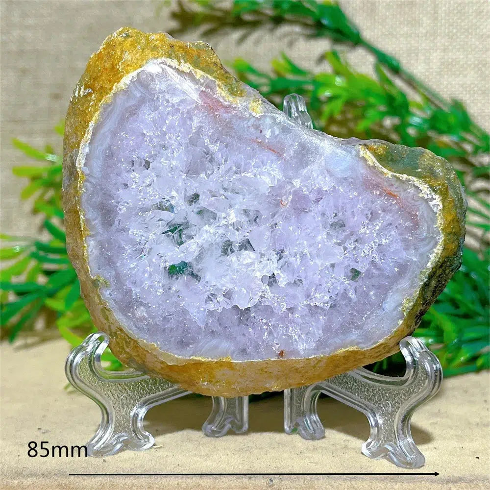 Amethyst Crystal Geode Slice + Stand