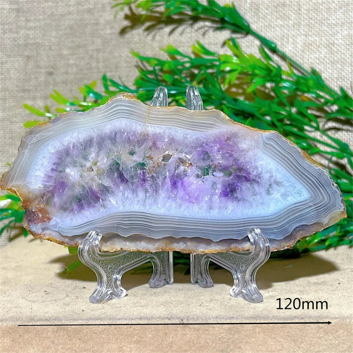 Amethyst Crystal Geode Slice + Stand