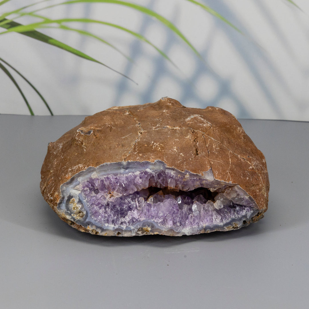 Amethyst Geode Cavern-Geodes-Crystal Destiny-Amethyst-1932g - 6.0"L x 6.0"W x 3.5"H-Crystal Destiny