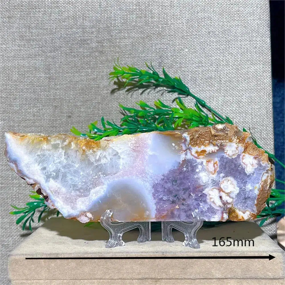 Amethyst Geode Slice + Stand