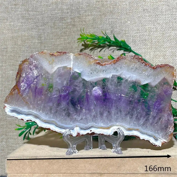 Amethyst Geode Slice + Stand