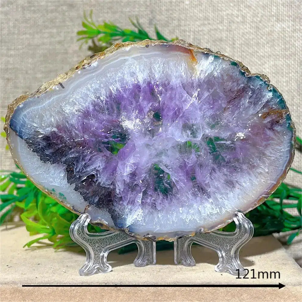 Amethyst Geode Slice + Stand