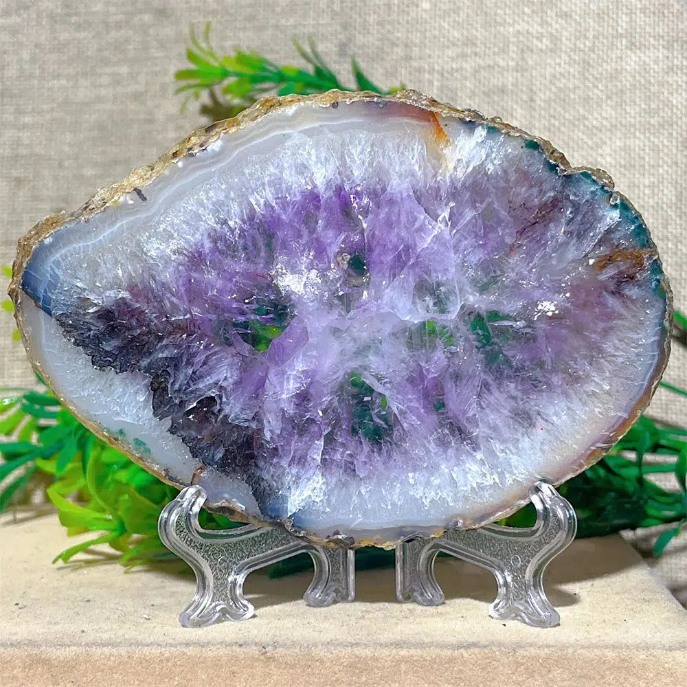 Amethyst Geode Slice + Stand