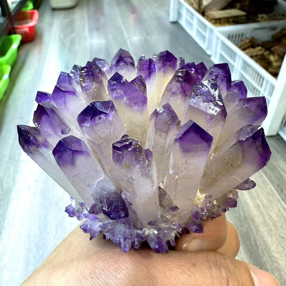 Amethyst Quartz Cluster