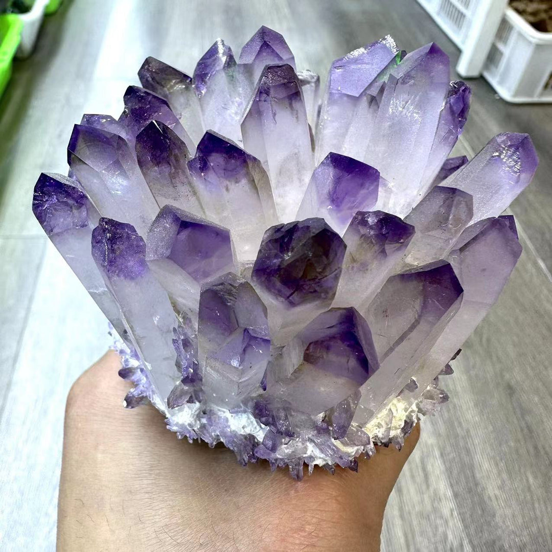 Amethyst Quartz Cluster