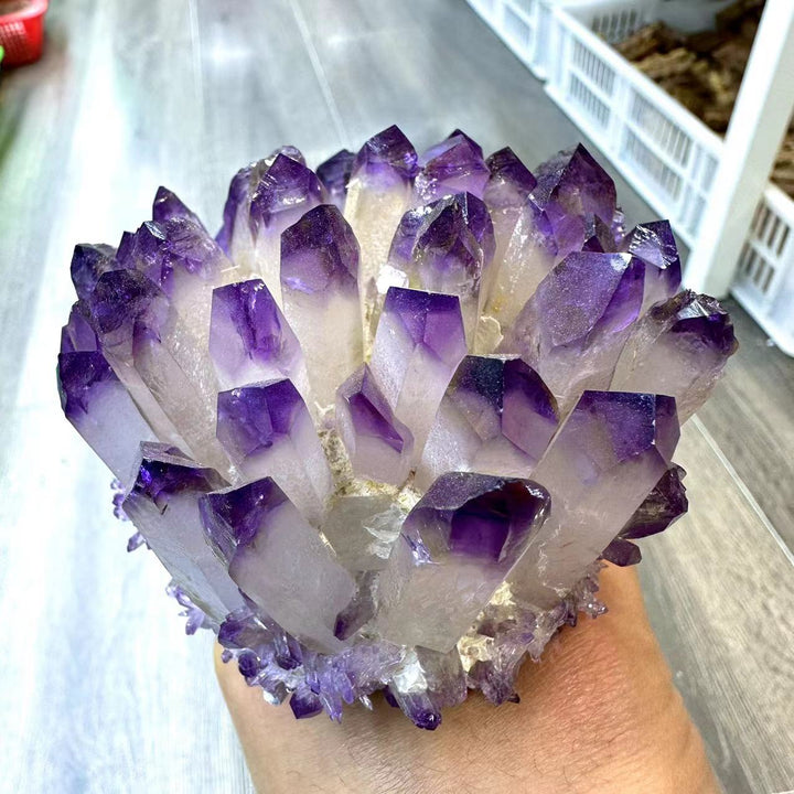 Amethyst Quartz Cluster