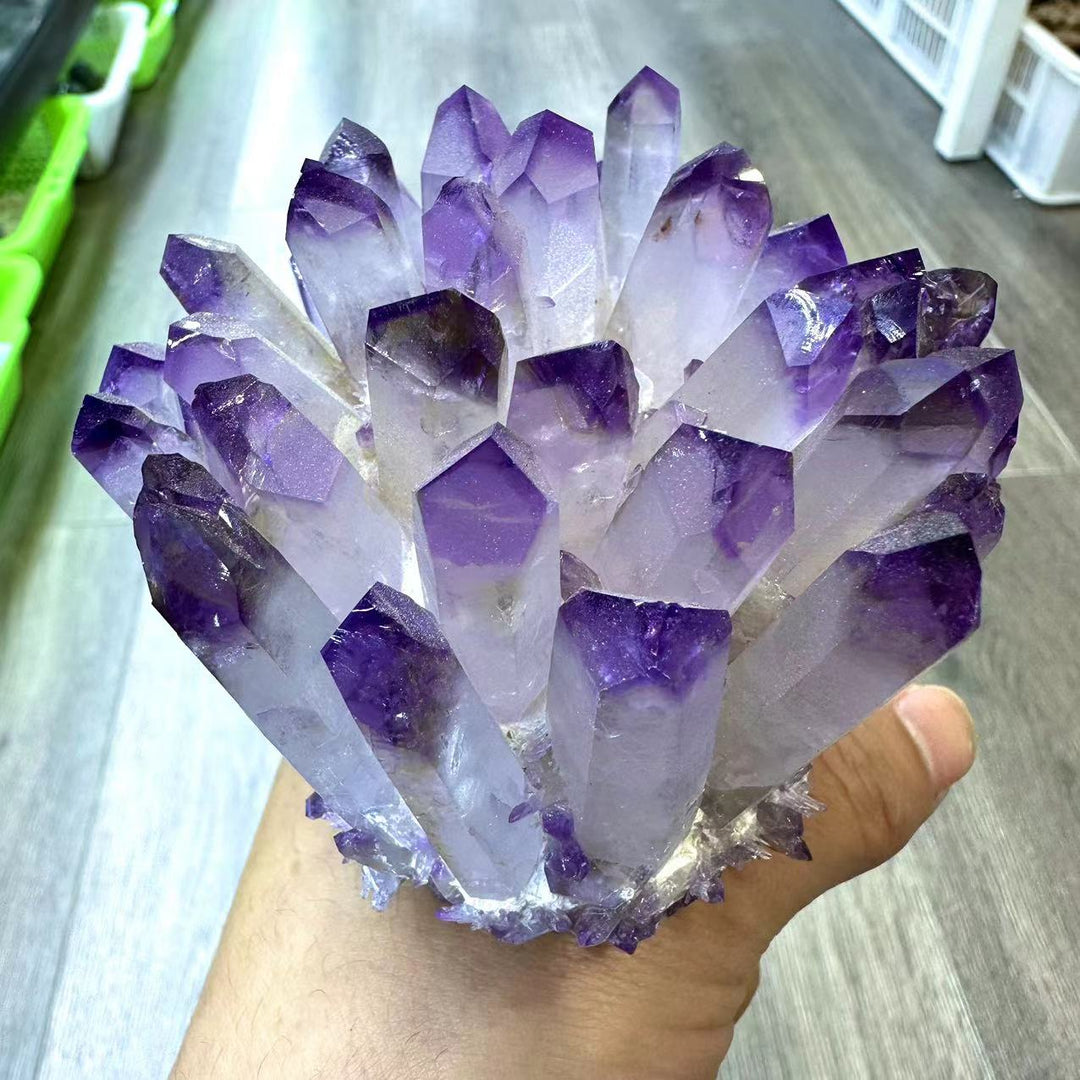 Amethyst Quartz Cluster