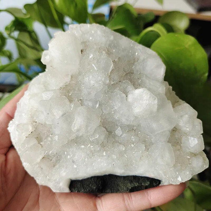 Apophyllite and Zeolite Cluster