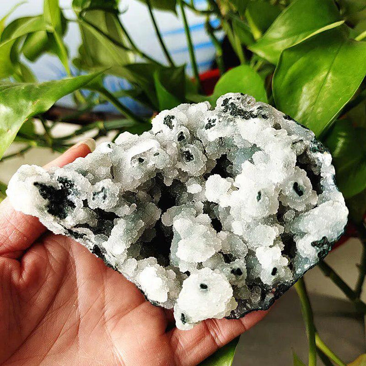 Apophyllite and Zeolite Cluster