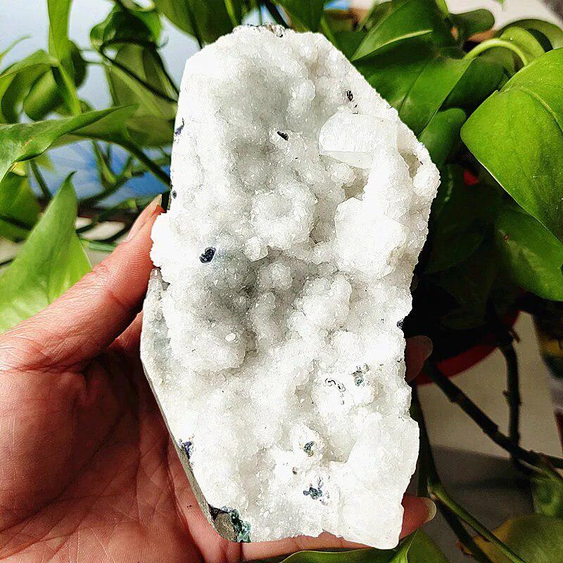 Apophyllite and Zeolite Cluster