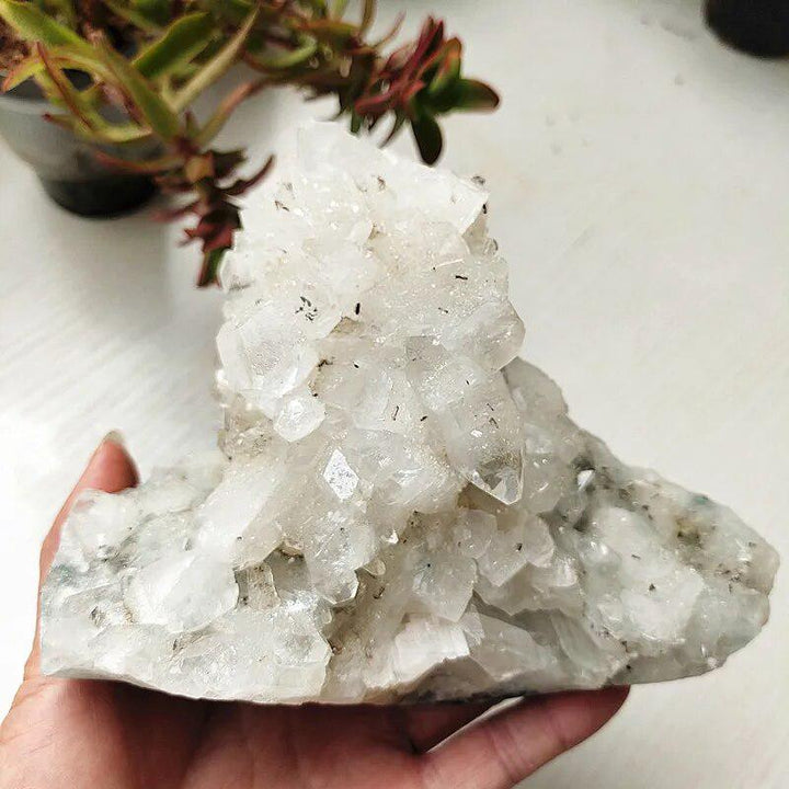 Apophyllite and Zeolite Cluster