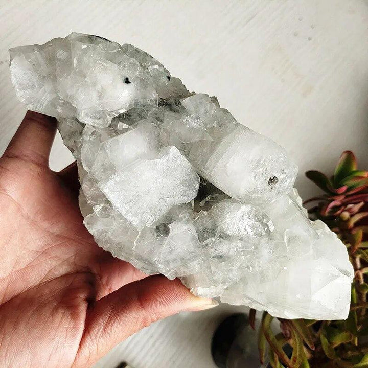 Apophyllite and Zeolite Cluster