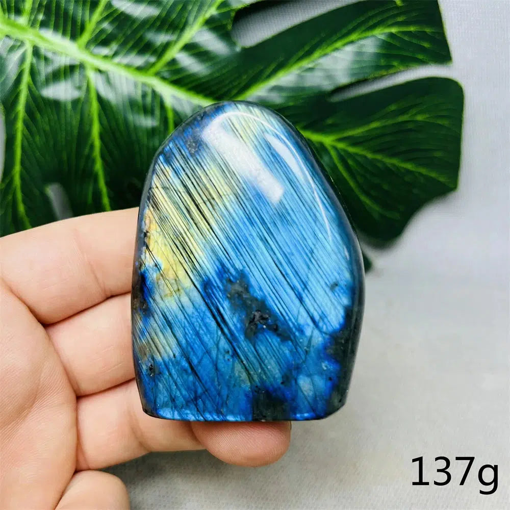 Beautiful Labradorite Double Side High Flash Freeform