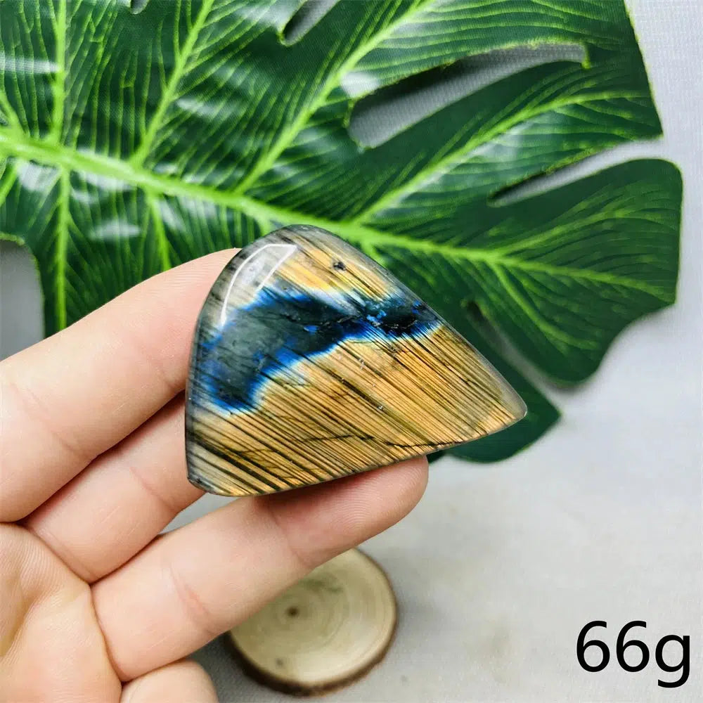 Beautiful Labradorite Double Side High Flash Freeform