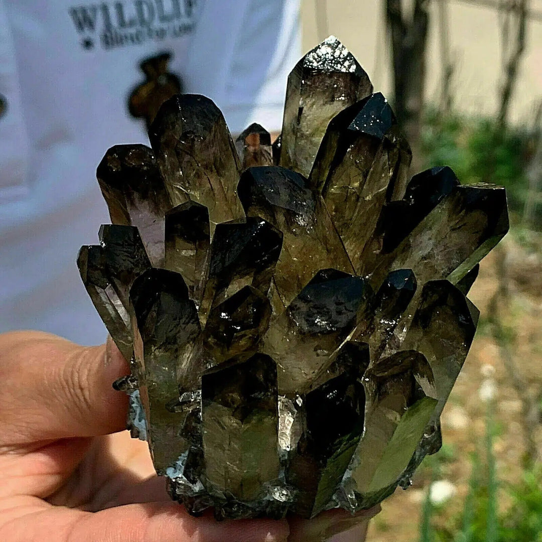 Black Phantom Quartz Crystal Cluster