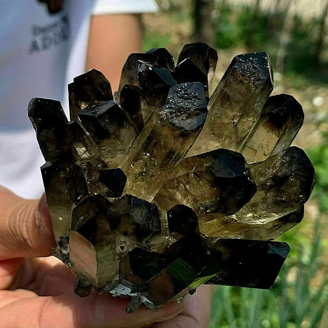 Black Phantom Quartz Crystal Cluster