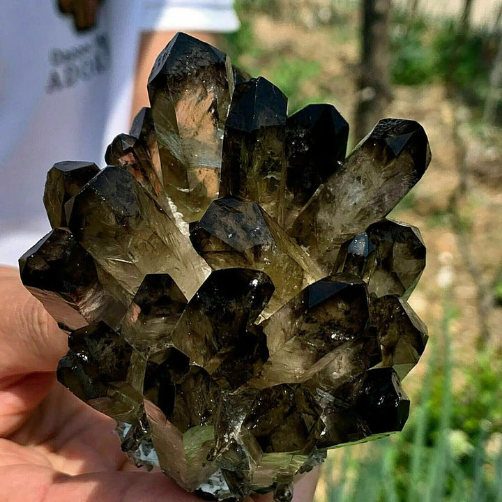 Black Phantom Quartz Crystal Cluster