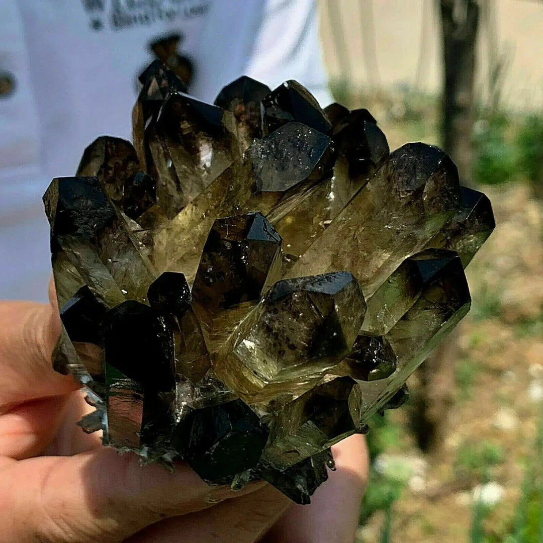 Black Phantom Quartz Crystal Cluster