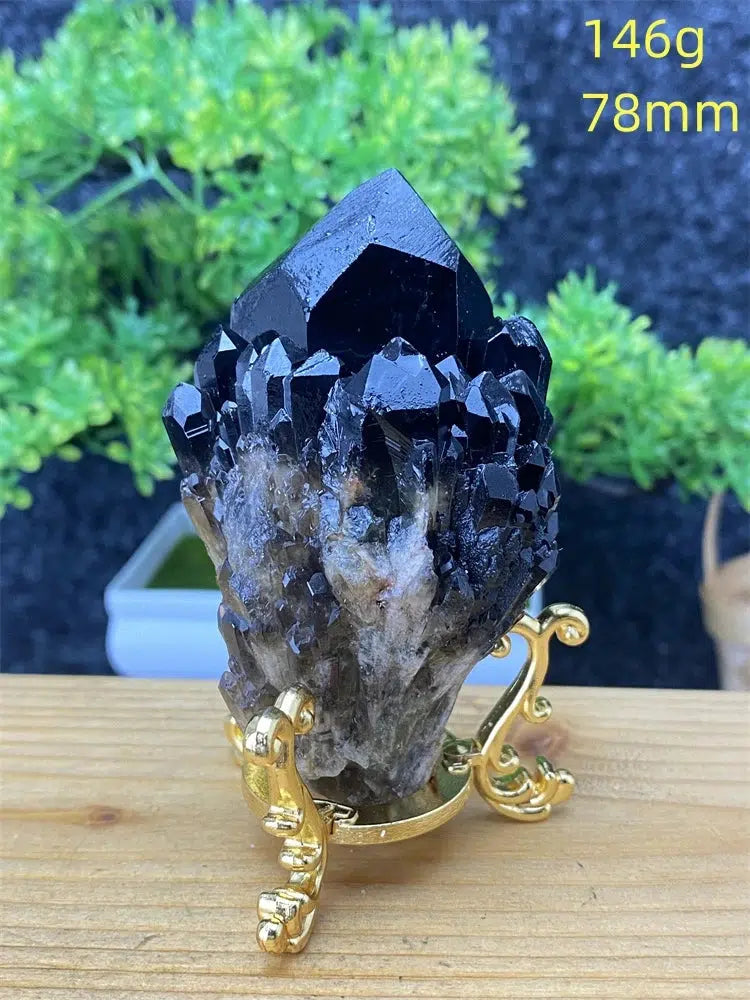 Black Pineapple Crystal Quartz + Shelf