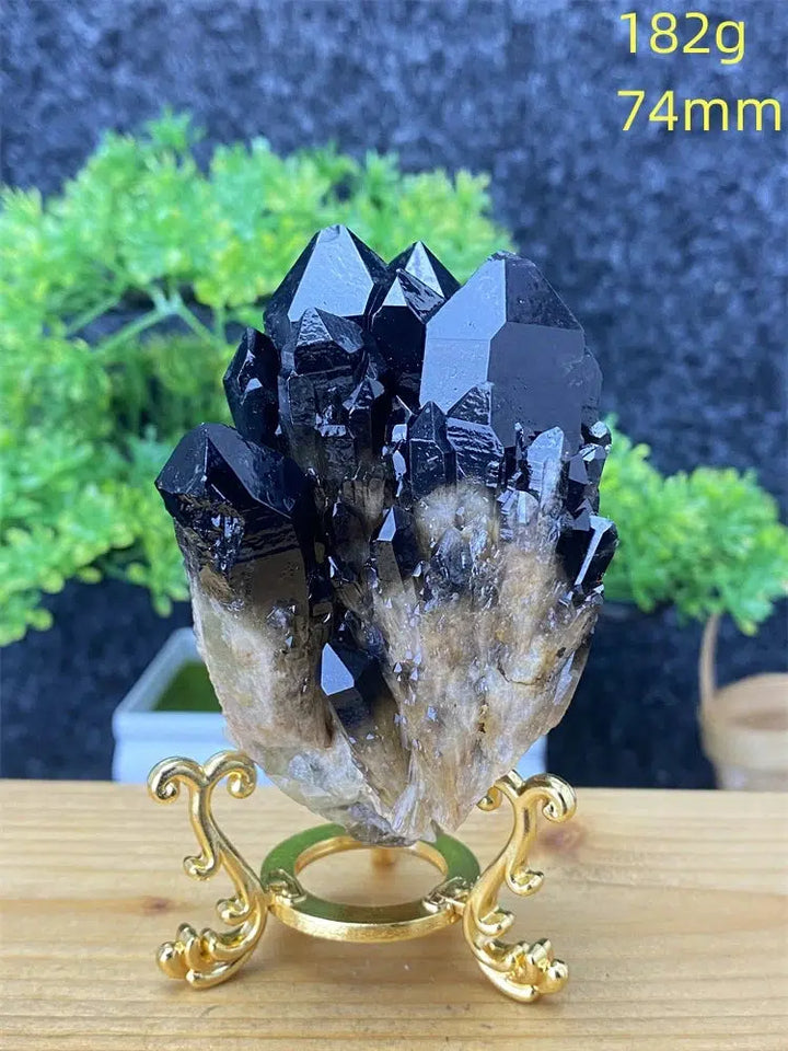 Black Pineapple Crystal Quartz + Shelf