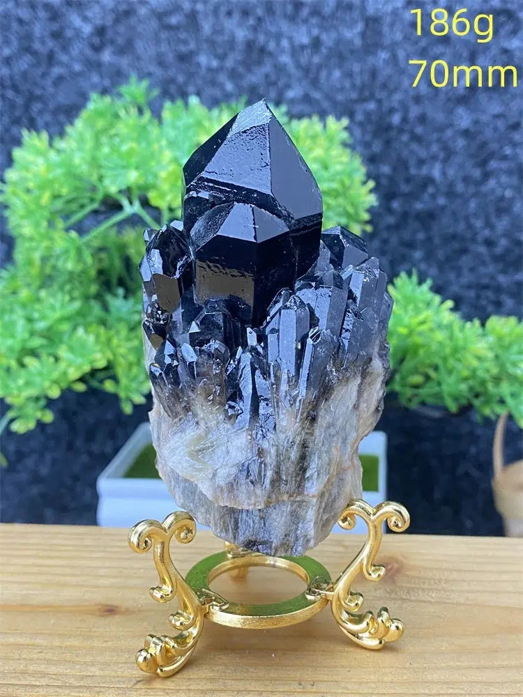 Black Pineapple Crystal Quartz + Shelf